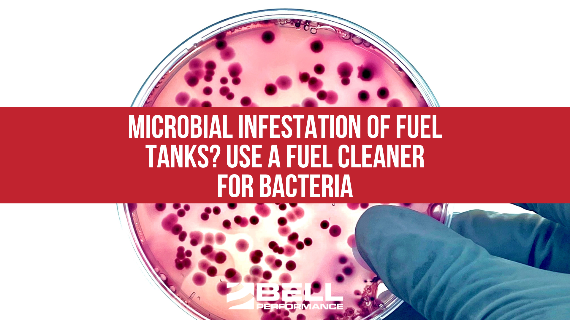 Microbial Infestation of Fuel Tanks? Use a Fuel Cleaner for Bacteria